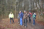 Umschneiden des neuen Maibaums und Arbeiten im Wald am 06.01.2016