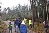Umschneiden des neuen Maibaums und Arbeiten im Wald am 06.01.2016