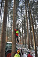 Umschneiden des neuen Maibaums und Arbeiten im Wald am 06.01.2016