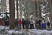 Umschneiden des neuen Maibaums und Arbeiten im Wald am 06.01.2016