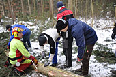 Umschneiden des neuen Maibaums und Arbeiten im Wald am 06.01.2016