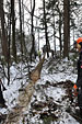 Umschneiden des neuen Maibaums und Arbeiten im Wald am 06.01.2016