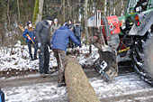 Umschneiden des neuen Maibaums und Arbeiten im Wald am 06.01.2016