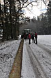 Umschneiden des neuen Maibaums und Arbeiten im Wald am 06.01.2016