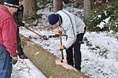Umschneiden des neuen Maibaums und Arbeiten im Wald am 06.01.2016