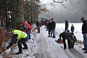 Umschneiden des neuen Maibaums und Arbeiten im Wald am 06.01.2016