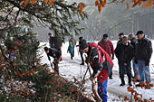 Umschneiden des neuen Maibaums und Arbeiten im Wald am 06.01.2016