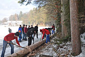 Umschneiden des neuen Maibaums und Arbeiten im Wald am 06.01.2016