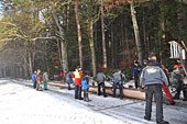 Umschneiden des neuen Maibaums und Arbeiten im Wald am 06.01.2016