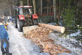 Umschneiden des neuen Maibaums und Arbeiten im Wald am 06.01.2016