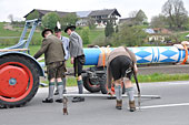 Maibaumaufstellen 1. Mai 2016