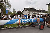 Maibaumaufstellen 1. Mai 2016