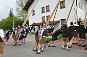 Maibaumaufstellen 1. Mai 2016