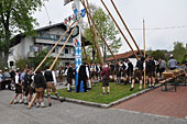 Maibaumaufstellen 1. Mai 2016