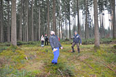 Umschneiden des neuen Maibaums und Arbeiten im Wald am 06.01.2019