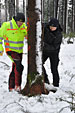 Umschneiden des neuen Maibaums und Arbeiten im Wald am 06.01.2019