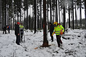 Umschneiden des neuen Maibaums und Arbeiten im Wald am 06.01.2019