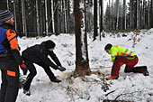 Umschneiden des neuen Maibaums und Arbeiten im Wald am 06.01.2019