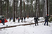 Umschneiden des neuen Maibaums und Arbeiten im Wald am 06.01.2019