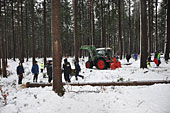 Umschneiden des neuen Maibaums und Arbeiten im Wald am 06.01.2019