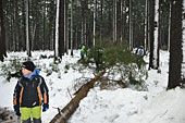 Umschneiden des neuen Maibaums und Arbeiten im Wald am 06.01.2019