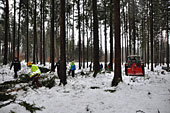 Umschneiden des neuen Maibaums und Arbeiten im Wald am 06.01.2019