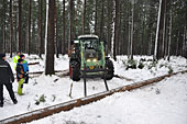 Umschneiden des neuen Maibaums und Arbeiten im Wald am 06.01.2019