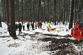 Umschneiden des neuen Maibaums und Arbeiten im Wald am 06.01.2019