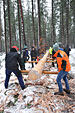 Umschneiden des neuen Maibaums und Arbeiten im Wald am 06.01.2019