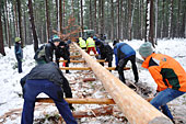 Umschneiden des neuen Maibaums und Arbeiten im Wald am 06.01.2019