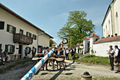 Ein neuer Maibaum für Kirchreit am 01.05.2019