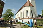 Ein neuer Maibaum für Kirchreit am 01.05.2019