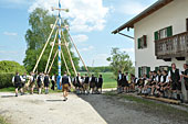 Ein neuer Maibaum für Kirchreit am 01.05.2019